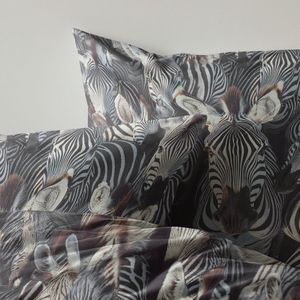 Zydante - Dekbedovertrek - 200x200 Cm - Microvezel - Savanna Stripes