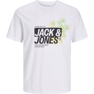 JACK&JONES - JJJAXON TEE SS CREW NECK PLS - Heren - T-shirts