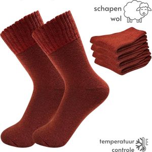 Thermosokken Set - Set 5 paar - maat 36-40 - Thermo Sokken Dames - Wintersokken/ Warme voeten
