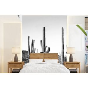 Cactussen - Zwart wit - Natuur - Landschap - Behangpapier