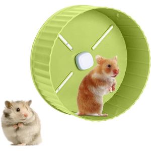 67 inch Silent Hamster Wheel - Oefenwiel voor Hamsters, Dwergmuizen, Ratten, Gerbils, Egel - Groen