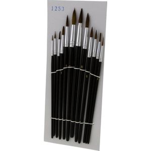 Basic aquarelpenselenset - 12-delige aquarel set - natuurlijk haar - met houten steel