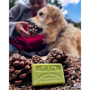 Savon de Marseille - Pin - Handzeep - 125g - Met Karitéboter - Plantaardig en Handgemaakt