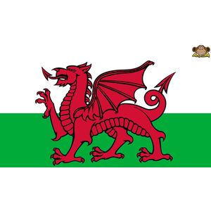 Partychimp Vlag Wales - 90x150 Cm - Polyester - Groen/Wit/Rood