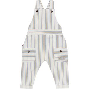 Frogs and Dogs - Bedrukte Gestreepte Tuinbroek | White Alyssum - Katoen - Maat 86