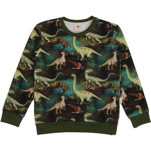 Kinder Sweatshirt , Dinosaur Jungle Print , Biologisch Katoen , Walkiddy