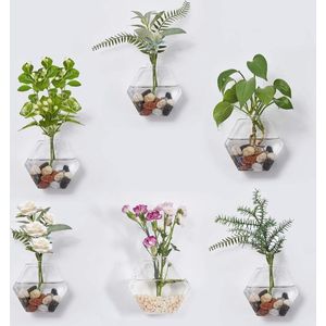 Glas Terrarium Hexagon - Hangplanten voor in huis