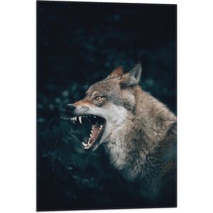 WallClassics - Vlag - Grote Boze Wolf - 50x75 cm Foto op Polyester Vlag