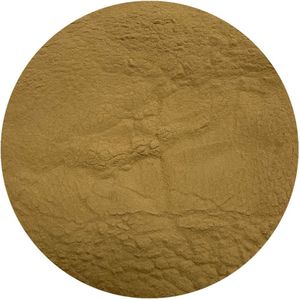 Pruikzwam (Lion's Mane) Extract 30% - 1 Kg - Holyflavours - Biologisch