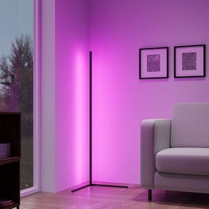 REALITY LEVEL Vloerlamp - Staande Lamp - Zwart - incl. 1x LED RGB 10W - Dynamisch licht - Geintegreerde dimmer - Memory functie - Afstandsbediening - RGB-kleurwisselaar - Sound control