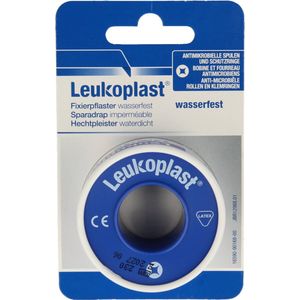 Leukoplast Hechtpleister Eurolock 5m x 2.50cm 1 Stuks