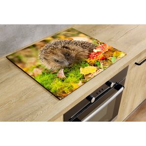 Inductiebeschermer - Egel - 83x51.5 cm - Inductiebeschermer - Inductie Afdekplaat Kookplaat - Inductie Mat - Anti-Slip - Keuken Decoratie - Keuken Accessoires
