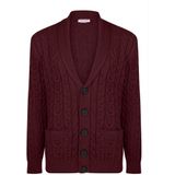 Felix Hardy Vest Met Knopen - Cardigan - 100% Katoen Heren Bordeaux - L