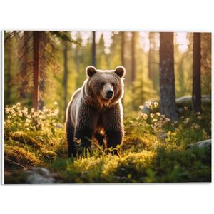 PVC Schuimplaat - Bos - Beer - Dier - Bloemen - 40x30 cm Foto op PVC Schuimplaat (Met Ophangsysteem)