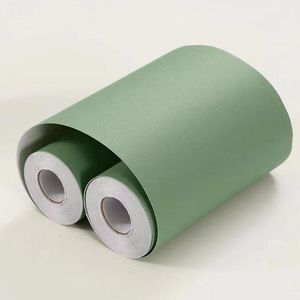 CSGoods - Zelfklevend muurfries in lichtgroen voor binnendecoratie - Herbruikbaar - Eenvoudig aan te brengen - 15 cm x 500 cm