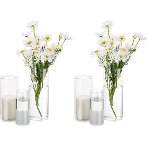 Decoratieve vaas, glazen cilinder, tafeldecoratie, 2 stuks, bloemen, vazen, set, moderne glazen vaas, ronde glazen cilinder, bloemenvaas, tulpenvaas, tafelvaas, voor bruiloft, woonkamer, tulpen, roos, 10/15/20 cm hoog