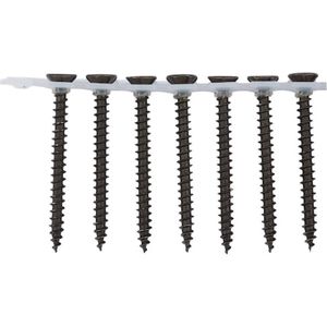 Wurth - Cementplaatschroef hout PH op band - Cementplaatschroef, op band Cementplaatschroeven - x 1000 st - Interne aandrijving H2
