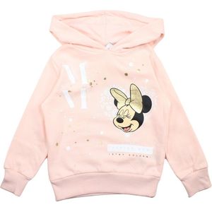 Disney Minnie Mouse Sweater - Roze - Maat 134/140