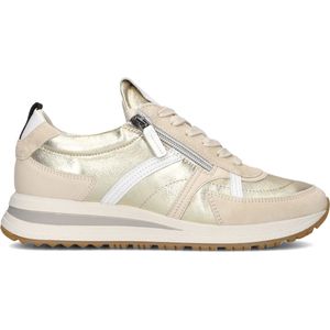 PiediNudi Grappa Lage sneakers - Leren Sneaker - Dames - Goud - Maat 37