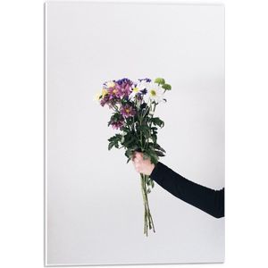 Forex - Paarse Bos Bloemen - 40x60cm Foto op Forex