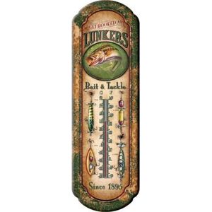buitenthermometer blinkers
