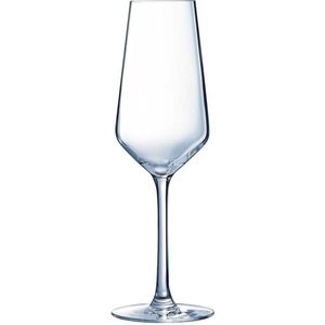 Luminarc Vinetis - Champagne Glazen - 23cl - (set van 6) En Yourkitchen E-kookboek - Heerlijke Smulrecepten