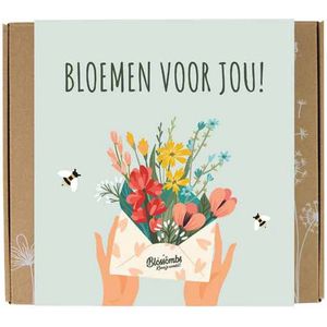 Blossombs Giftbox Medium - Bloemen voor jou - Moederdag - Verjaardag - 9 Zaadbommetjes - bijen en vlinders