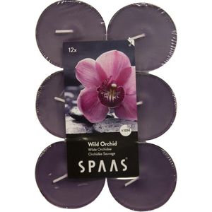Theelicht maxi wilde orchidee - 10 uren - set van 12 stuks