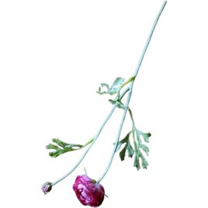 Kunstbloemen Ranonkel - Nooit meer onderhoud aan uw bloemen! - Nepbloemen - Kunstbloemen - Ranonkels - Pioenroos - Droogbloemen - Kunstbloemen voor Binnen - 38cm - Donker Roze