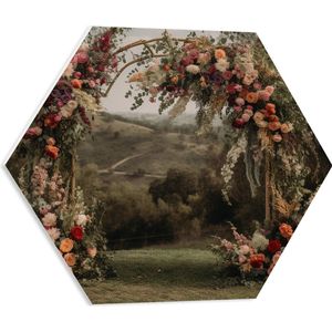 PVC Schuimplaat Hexagon - Romantische Bloemenboog Midden in het Landschap - 50x43.5 cm Foto op Hexagon (Met Ophangsysteem)