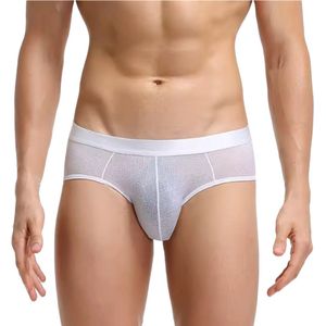 Heren Slip Transparant - Slip Doorzichtig Wit - Sexy Mesh Design - Mannen Onderbroek - Lingerie Voor Mannen - Ondergoed Maat XXXL / 3XL
