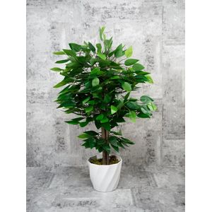 Ficus Benjamina - kunstplant - hoogte van 75 cm - inclusief pot