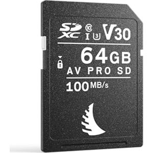 64GB SD Kaart V30 voor Creatieve Professionals