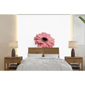 Bloemen - Roze - Natuur - Wit - Plant - Behangpapier