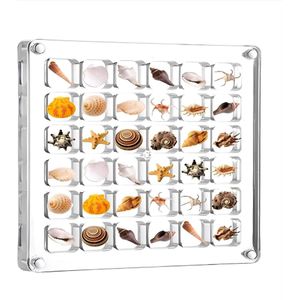 Verzameldoos schelpdoos - Seashell Display Box - Zee Schelp Opbergdoos - Geschikt Voor Miniatuur Steenmonsters - Transparante Opbergdoos - Mini Schelp Opbergframe