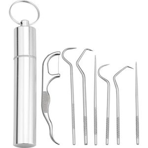 Tandenstokers Set - RVS - 7 Delige Tandarts Set - Gebit Verzorging Setje - Zilver