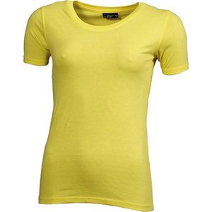 James and Nicholson Dames/dames Basic T-Shirt (Geel)