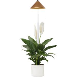 Parus by Venso SUNLiTE Kweeklamp 7W koper, LED groeilamp met telescopische staaf, groeilamp voor kamerplanten en groene planten