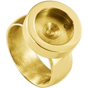 Quiges RVS Schroefsysteem Ring Goudkleurig Glans 17mm met Verwisselbare Grijze Blokjes Schelp 12mm Mini Munt