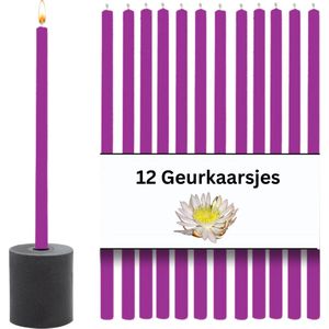 Scentchips Cactusbloem Dunne Geurkaarsen - Geurkaars - Geurkaarsen Geschenkset - Geur Kaars - Geurstokjes - 24 Branduren - 12 Stuks