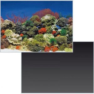 Superfish Poster 1 - 150 x 49cm - Aquarium Decoratie achterwand