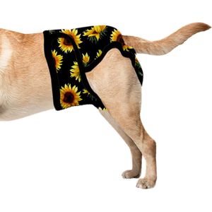 Sharon B Loopsheidbroekje hond - Zonnebloem - Maat XXL - Wasbaar - Heupomvang 69-80 cm - Bij loopsheid, incontinentie bij teefjes - Hondenluier - Voor honden