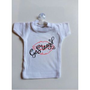Mini T shirtje met hangertje en zuignapje
