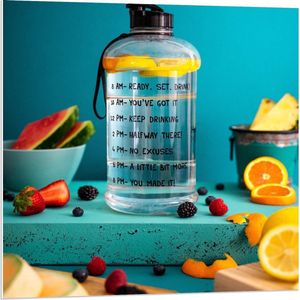 Forex - Motiverende Waterfles met Fruit - 80x80cm Foto op Forex