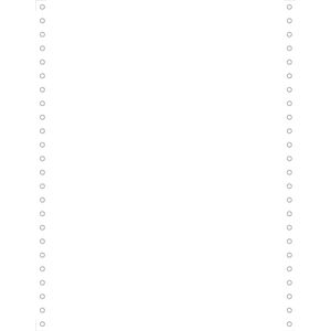 Exacompta 2000 listingbladen 240x12 microperforaties 4 zijden afscheurbare Caroll banden Papier 80g - Wit - 62531E