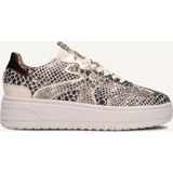 Haboob - Filou - Lage Sneakers - Beige - Slangenprint