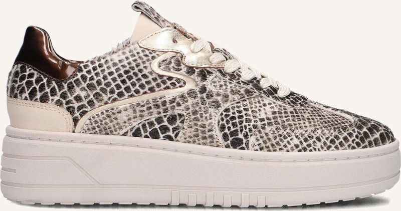 Haboob - Filou - Lage Sneakers - Beige - Slangenprint