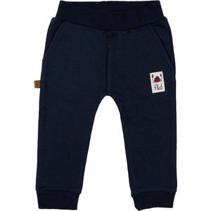 Frogs and Dogs - Jongens broek - navy - Maat 80