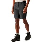 Regatta - Eldes - Korte Broek - Grijs - Heren