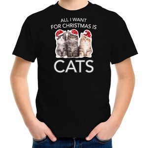 Kitten Kerstshirt / Kerst t-shirt All i want for Christmas is cats zwart voor kinderen - Kerstkleding / Christmas outfit 110/116